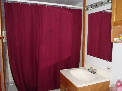 4527 Cracow, Lyons, IL 60534 photo 6