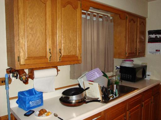 4527 Cracow, Lyons, IL 60534 photo 5