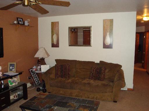 4527 Cracow, Lyons, IL 60534 photo 3