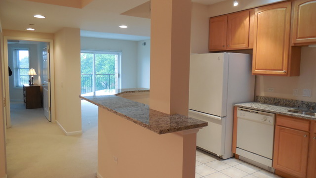 111 N Wheaton Ave #409, Wheaton, IL 60187 photo 11