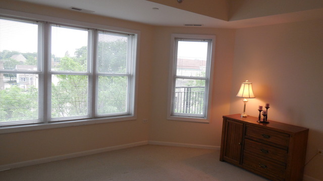 111 N Wheaton Ave #409, Wheaton, IL 60187 photo 17