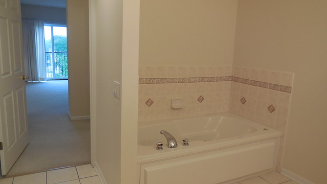 111 N Wheaton Ave #409, Wheaton, IL 60187 photo 16