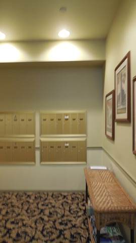 111 N Wheaton Ave #409, Wheaton, IL 60187 photo 23