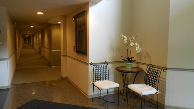 111 N Wheaton Ave #409, Wheaton, IL 60187 photo 3