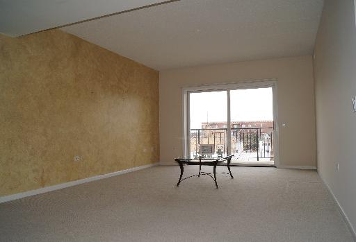 111 N Wheaton Ave #409, Wheaton, IL 60187 photo 8