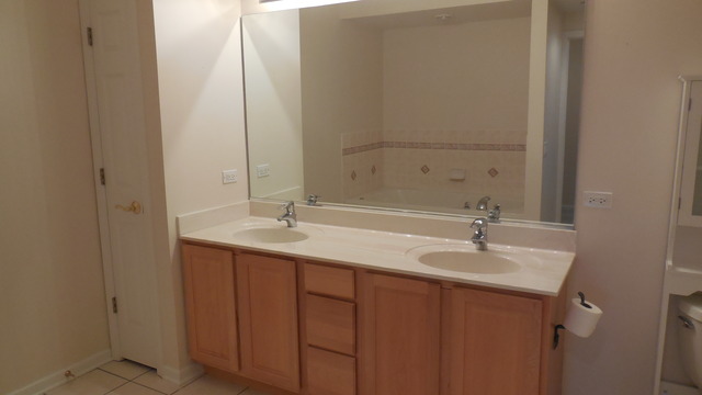 111 N Wheaton Ave #409, Wheaton, IL 60187 photo 15