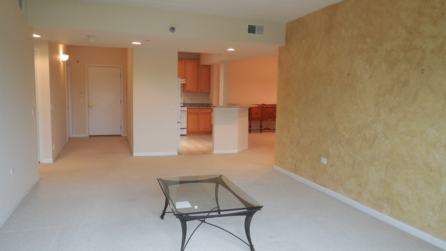 111 N Wheaton Ave #409, Wheaton, IL 60187 photo 9