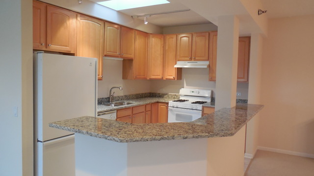 111 N Wheaton Ave #409, Wheaton, IL 60187 photo 10