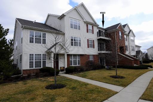 650 Mill Cir #303, Wheeling, IL 60090 photo 2