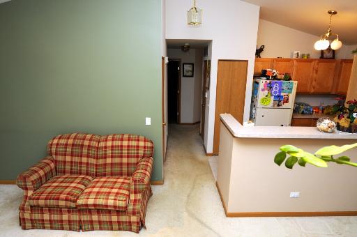 650 Mill Cir #303, Wheeling, IL 60090 photo 10
