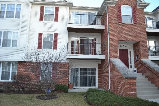 650 Mill Cir #303, Wheeling, IL 60090 photo 1