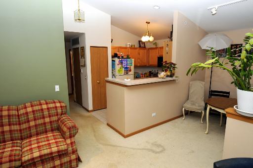 650 Mill Cir #303, Wheeling, IL 60090 photo 9