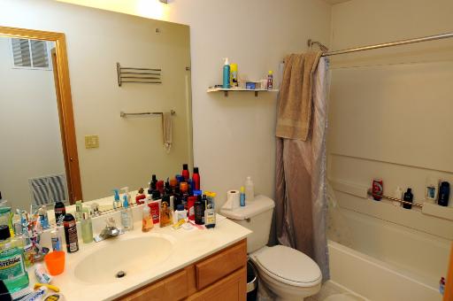 650 Mill Cir #303, Wheeling, IL 60090 photo 13