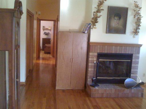 329 S Emmerson Ave, Itasca, IL 60143 photo 2