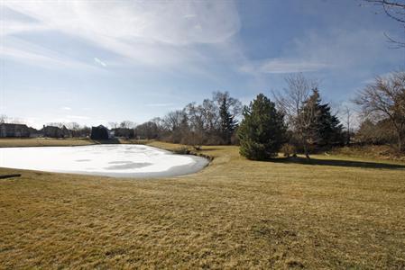 5172 Barcroft Ct, Hoffman Estates, IL 60010 photo 3