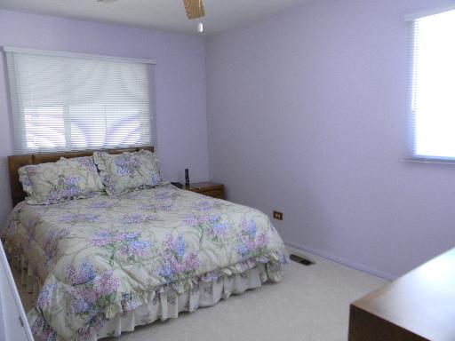 720 Morton St, Hoffman Estates, IL 60169 photo 9