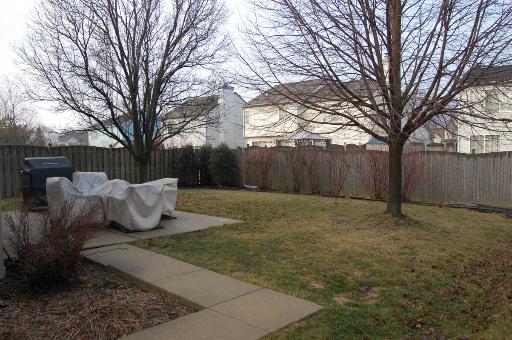 410 Summersweet Ln, Bartlett, IL 60103 photo 12