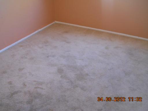 181 Betty Ct #D, Bartlett, IL 60103 photo 11