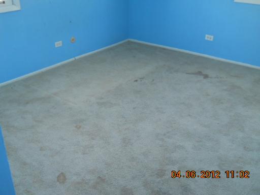 181 Betty Ct #D, Bartlett, IL 60103 photo 12