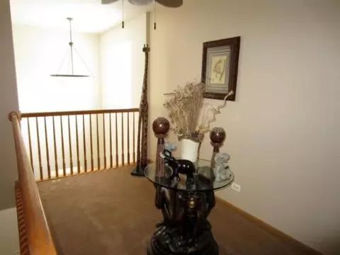2117 Olde Mill Rd, Plainfield, IL 60586 photo 13