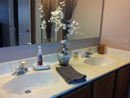 660 Yardley Ln, Hoffman Estates, IL 60169 photo 12