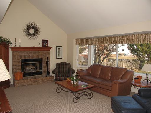 13610 Eagle Ridge Ct, Plainfield, IL 60544 photo 6