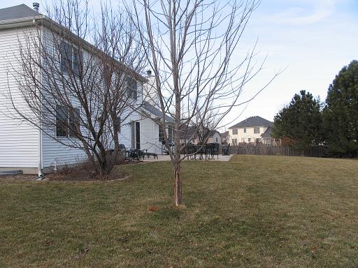 13610 Eagle Ridge Ct, Plainfield, IL 60544 photo 14