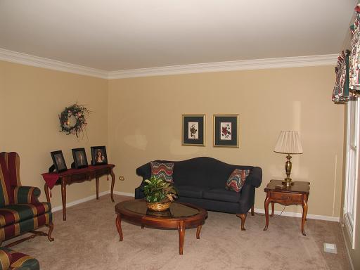 13610 Eagle Ridge Ct, Plainfield, IL 60544 photo 2