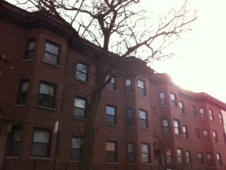 113 E 60th St #3, Chicago, IL 60637 photo 1