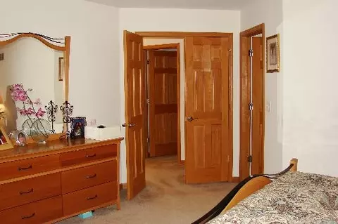 12949 Parterre Pl, Plainfield, IL 60585 photo 9