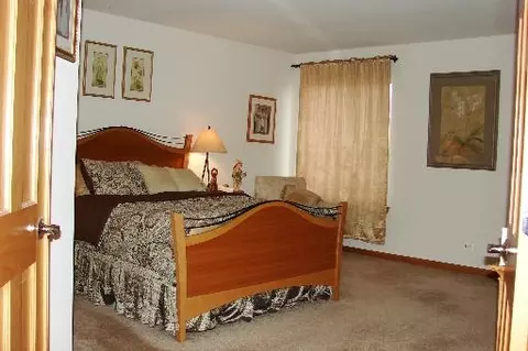 12949 Parterre Pl, Plainfield, IL 60585 photo 8