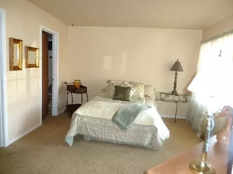 21203 Silktree Cir, Plainfield, IL 60544 photo 9