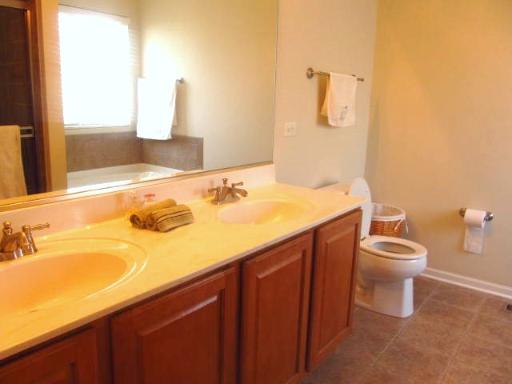 14434 Independence Dr, Plainfield, IL 60544 photo 7