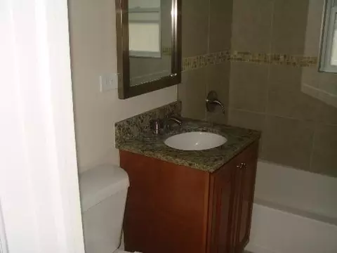 544 Orchard Ct, Des Plaines, IL 60016 photo 11