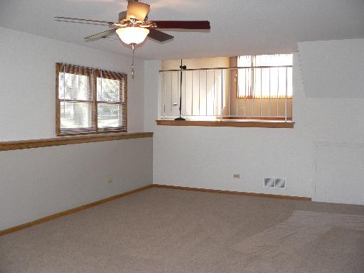3320 Sangamon St, Steger, IL 60475 photo 8