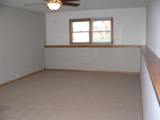 3320 Sangamon St, Steger, IL 60475 photo 9
