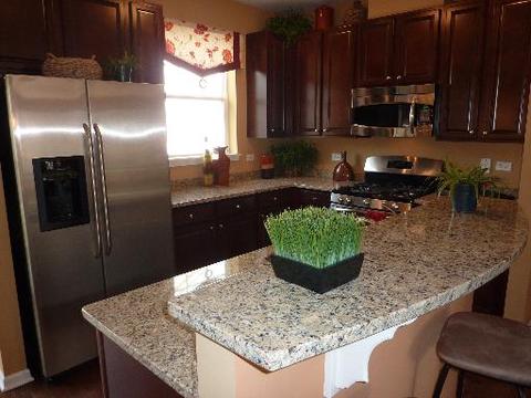 1236 Harding Ave, Des Plaines, IL 60016 photo 2