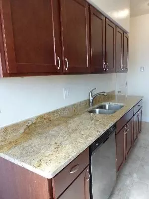 1145 E Hyde Park Blvd #3a, Chicago, IL 60615 photo 3