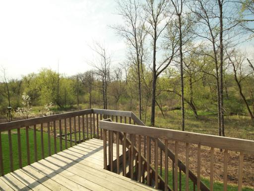 2949 Exeter Ct, Dundee, IL 60118 photo 16