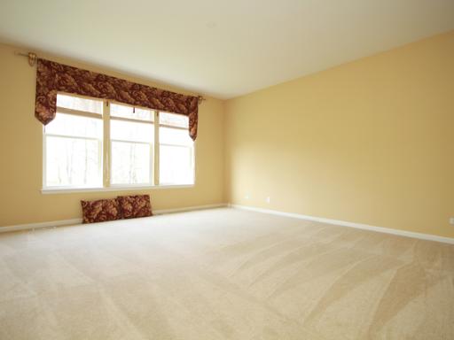2949 Exeter Ct, Dundee, IL 60118 photo 10