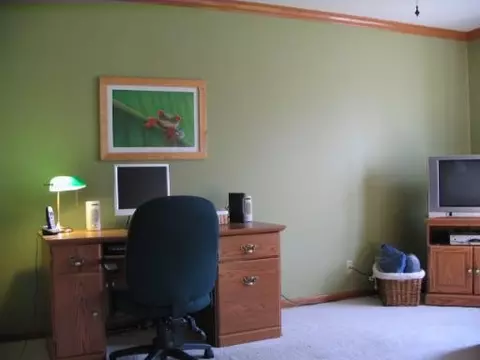 784 Butternut Ln, Elgin, IL 60123 photo 9