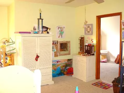 524 S Third St, West Dundee, IL 60118 photo 13