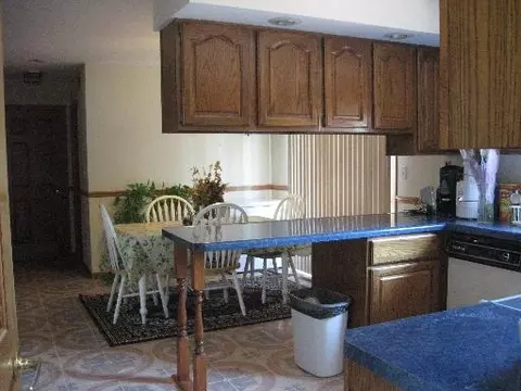 104 Blackhawk Dr, Minooka, IL 60447 photo 2