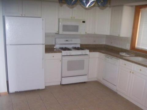 1476 Perry St #508, Des Plaines, IL 60016 photo 3
