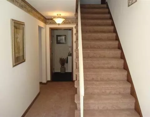 415 Main St, Dalzell, IL 61320 photo 11