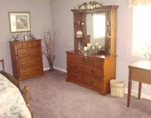 415 Main St, Dalzell, IL 61320 photo 13