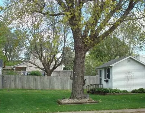 415 Main St, Dalzell, IL 61320 photo 2