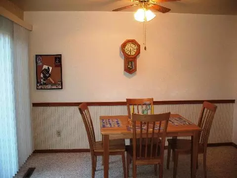 1020 Quail Dr, Morris, IL 60450 photo 8
