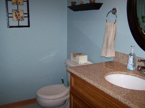 2530 Sterling Ct, Diamond, IL 60416 photo 9