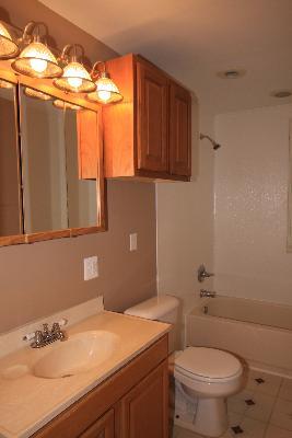 23138 W Hickory Ln, Plainfield, IL 60544 photo 4